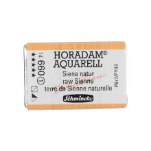 Schmincke Horadam Aquarelle Aquarelle Raw Sienna (14660043)