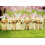 Rang   e de chiots lapins - Carte de P   ques Avanti Dog 1