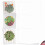 The Best Card Company - 10 Cartões em Branco com Envelopes (4 x 5.12 Polegadas) - Cartões para Todas as Ocasiões 2