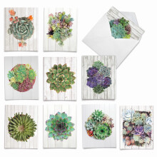 The Best Card Company - 10 Cartões em Branco com Envelopes (4 x 5.12 Polegadas) - Cartões para Todas as Ocasiões