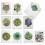 The Best Card Company - 10 Cartões em Branco com Envelopes (4 x 5.12 Polegadas) - Cartões para Todas as Ocasiões 1