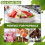 Ξύλινα ξυλάκια παγωτού Eco Craft Stix 4-1/2" - Συσκευασία των 200 τεμαχίων 2