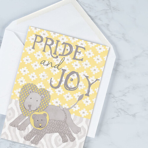 Cartões de Parabéns para Bebés - 8 Pack (4 Designs), Grande 5 x 7 Polegadas com Sentimentos 1