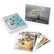 metaFox | Leading Change-Postkartenpaket | 52 Karten fr Coaching & Change Management | Basierend auf dem 8-Schritte-Prozess zur Fhrung von Vernder