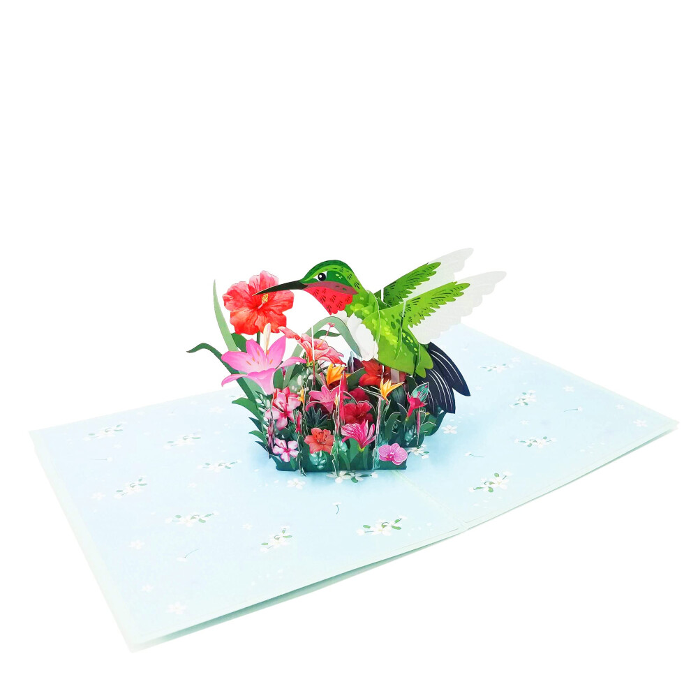 Pokémon Pop Card Express Hummingbird Birthday Greeting Pop Up Card -Great Gift For Birthday Thanksgiving Anniversary Valentines Day Bird Lovers Gift For