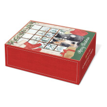 Punch Studio Cats Boxed Julkort Set med 12 (46798) Flerfrgad