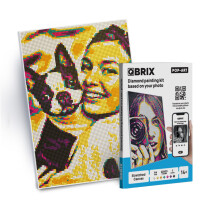 QBRIX brugerdefineret diamantmaleri fra fotokunsts?t med indrammet l?rred | Personlig diamantkunsts?t til voksne | H?ndlavet gave | DIY Craft Kit
