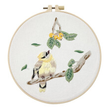 Meecaa Fruit Bird Borduurpakket Starterset Handborduurset Patroon Bedrukte kruissteekset voor beginnende volwassenen met borduurring en instructies (