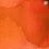 ?e???? Speedball India Citrine 1 ??????? 4
