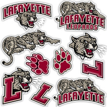 Desert Cactus Lafayette College Klisterm?rke Leoparder Vinyl Decals Laptop Vandflaske Bil Scrapbog Ark T2 (Type 2)