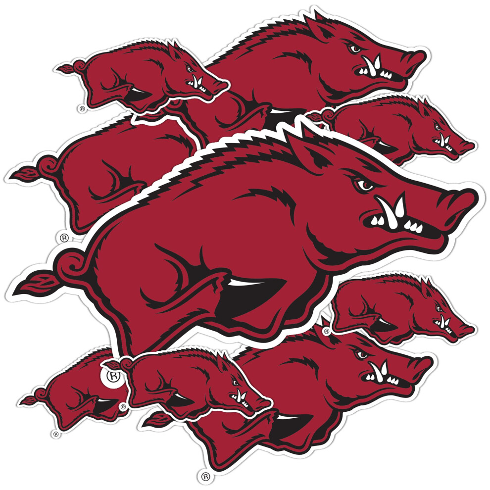 Desert Cactus University Of Arkansas Sticker Razorbacks U Of A Hogs Vinyl Decals Laptop Water Bottle Car Scrapbook Sheet T3 (Type 3-1) 192497313104