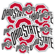 Desert Cactus The Ohio State University Sticker OSU Buckeyes Vinyl Decals Laptop Vandflaske Bil Scrapbog ark T3 (Type 3-2)