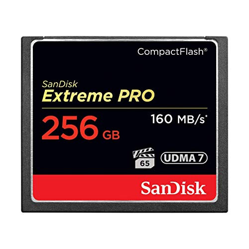 SanDisk SanDisk Extreme Pro 256 GB CompactFlash