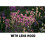 PLR Optics 55MM modlysbl?nde til Sony DSC-HX300 digitalkamera 4