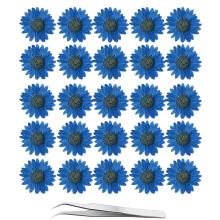YouthBro 81PCS Orange Dried Pressed Flowers for Resin Real Nature Flowers Herb Set for DIY Jewelry Candle Soap Vase Making Nail Card Scrapbook Art Cra