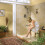 Moen Moenflo XL Chrome Single Function 4.38-Inch Diameter Showerhead  6302 4