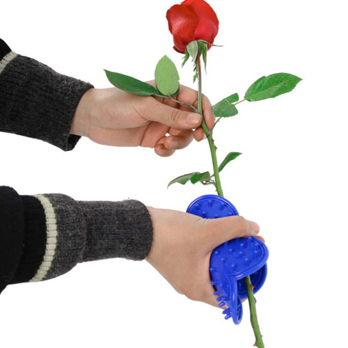 LuFOX 4PCS Ferramenta Removedora de Espinhos de Rosa e Luvas de Jardim 2