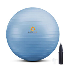 PRIMASOLE cvicebn lopta na rovnov hu, stabilitu, fitness, cvicenie, jogu, pilates, dom cu kancel riu a posilnovnu, 45 cm, svetlosiv