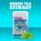 Mentos Clean Breath Sockerfria Hårda Mint, 150st, Intense Wintergreen (4 Flaskor) 3
