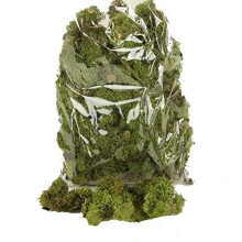Shinoda Design Center 4 oz Bag Faux Light Reindeer Moss, Lt Green
