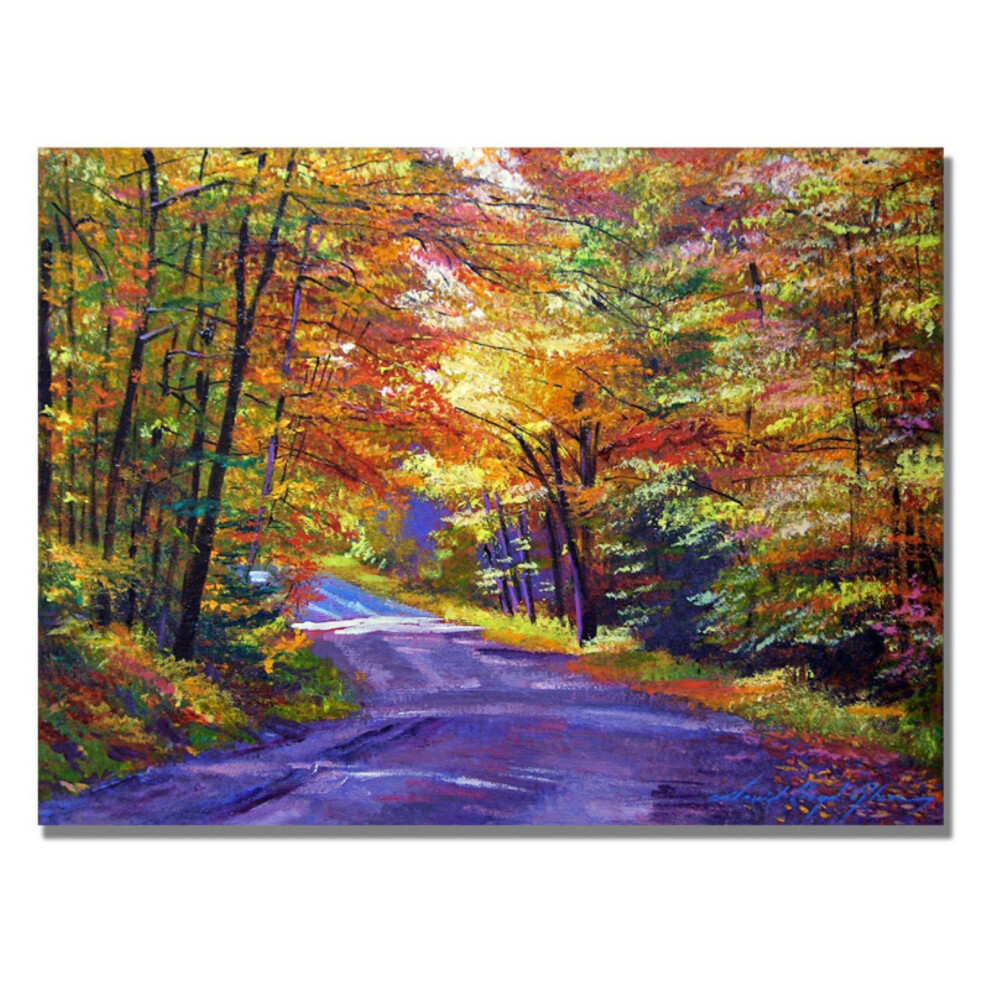Trademark Fine Art David Lloyd Glover New England Road Leinwandbild, 45,7 X 61 Cm-image
