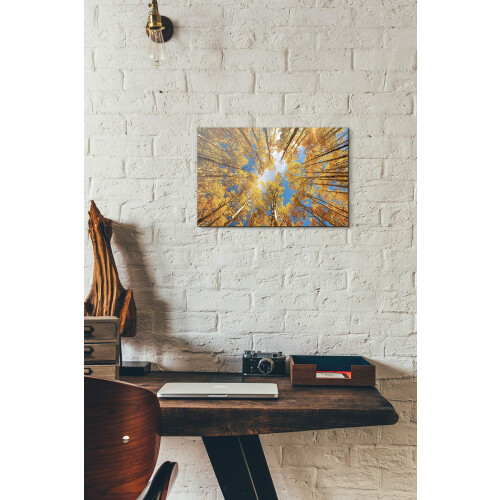 Episk graffiti 'Towering Aspens' af Darren White Canvas Wall Art 12"""" x 18"""" 1