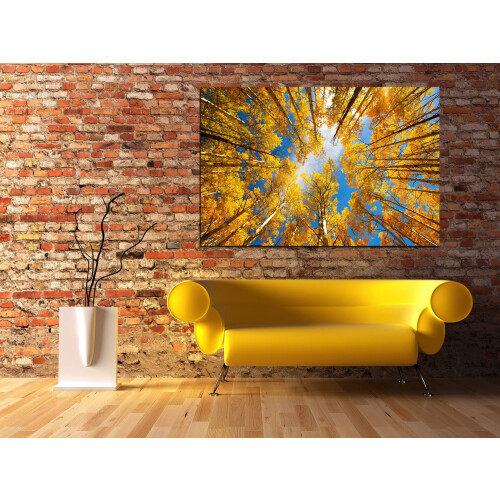 Episk graffiti 'Towering Aspens' af Darren White Canvas Wall Art 12"""" x 18"""" 2