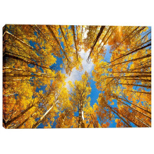 Episk graffiti 'Towering Aspens' af Darren White Canvas Wall Art 12"""" x 18""""