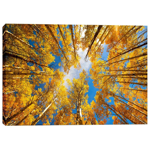 Episk graffiti 'Towering Aspens' af Darren White Canvas Wall Art 12"""" x 18""""