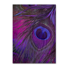 Varumrke Fine Art ALI4258-C2432GG Peacock Candy IV 24x32-tum 24 tum x 32 tum