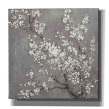 Epic Graffiti 'White Cherry Blossom II on Grey' by Danhui Nai Canvas Wall Art 26""""x26""""