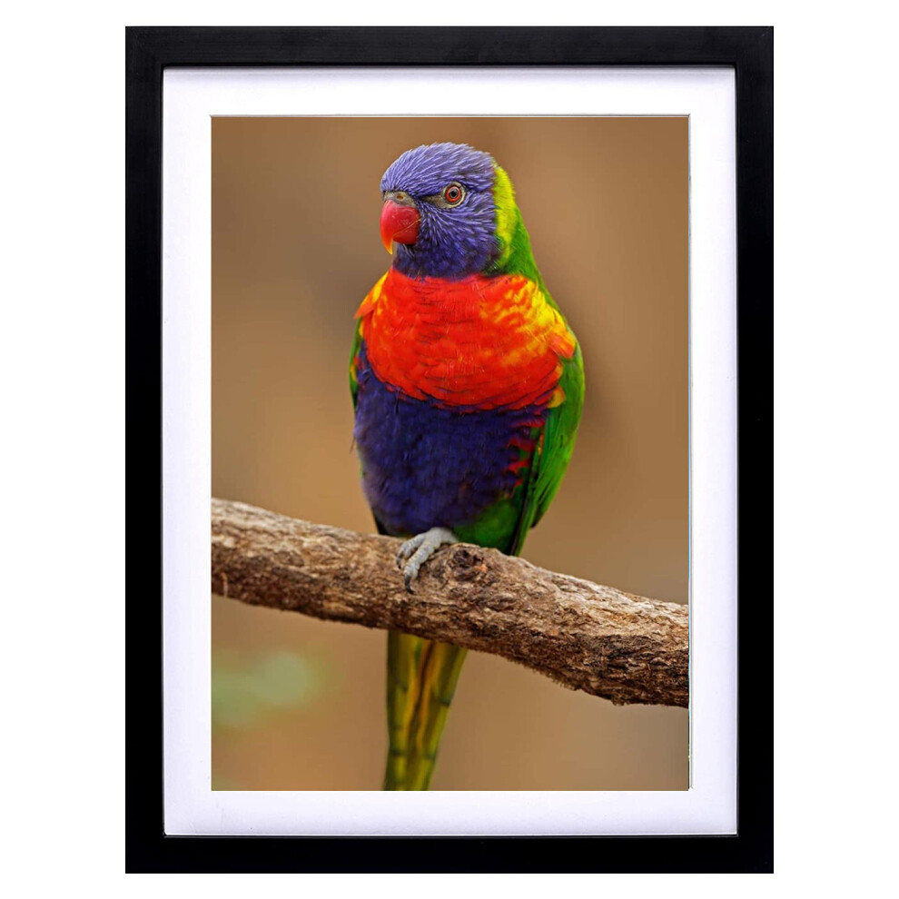 Cadres de peinture diamant Mxtallup 14x18 en bois pour photos 12x16 pouces/30x40 cm avec passe-partout ou 14x18 pouces/35x45 cm sans passe-partout, ca