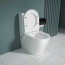 Close Coupled Toilet With Bidet All in One - 365 x 610 x 800mm (WxDxH)