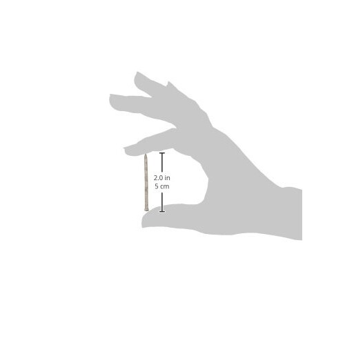 HILLMAN FASTENERS 461301 LB 2"""" 6D Galvanized Case Nail 2