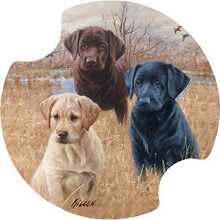 Thirstystone Marsh Daze Bilkopholder Coaster 2-Pak