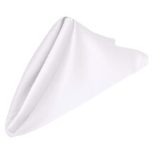 Gowinex Pakket van 10 17 x 17 inch Lamour Satijnen Diner Servetten voor Bruiloft Feest Evenement Decor (Wit)