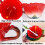 Tasse de the et soucoupe a fleurs d'hibiscus philo 2