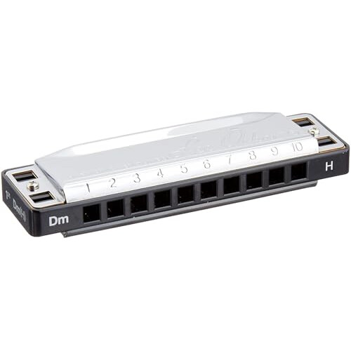 Lee Oskar Harmonica Harmonic Minor D 1