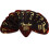 Fender Fender Classic Celluloid Guitar Picks 351 Shape Tortoise Shell Extra Heavy 12-pack 1