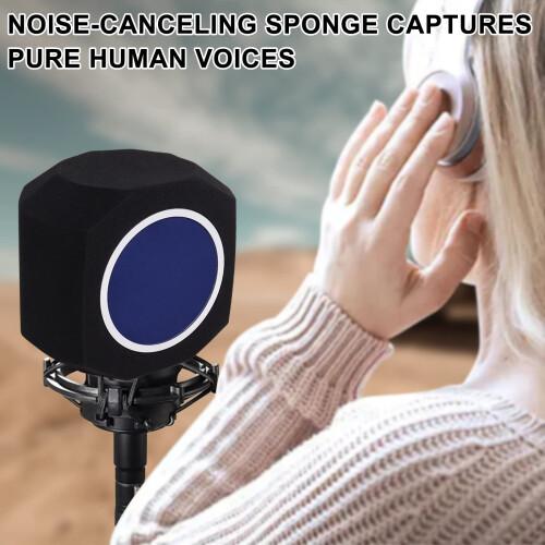 Professionele Microfoonisolatiebal, Geluidsabsorberende Microfoonisolatieschild met Popfilter 2