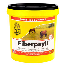 RICHDEL Fiberpsyll Valupak Bag