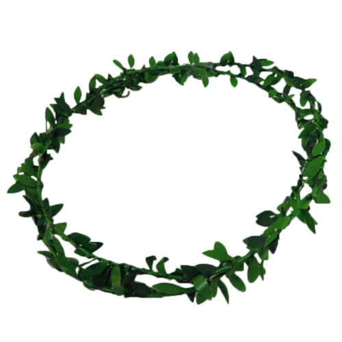Gr?nt Laurel Leaf Roman Costume Pandeb?nd