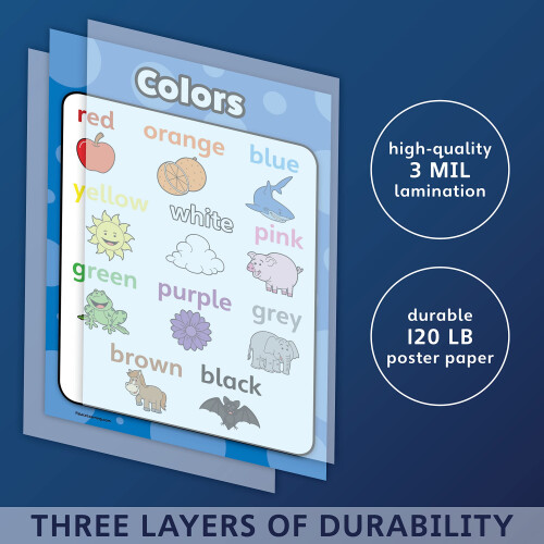 Palace Curriculum Colors Poster Chart - LAMINATED (18 x 24) 1