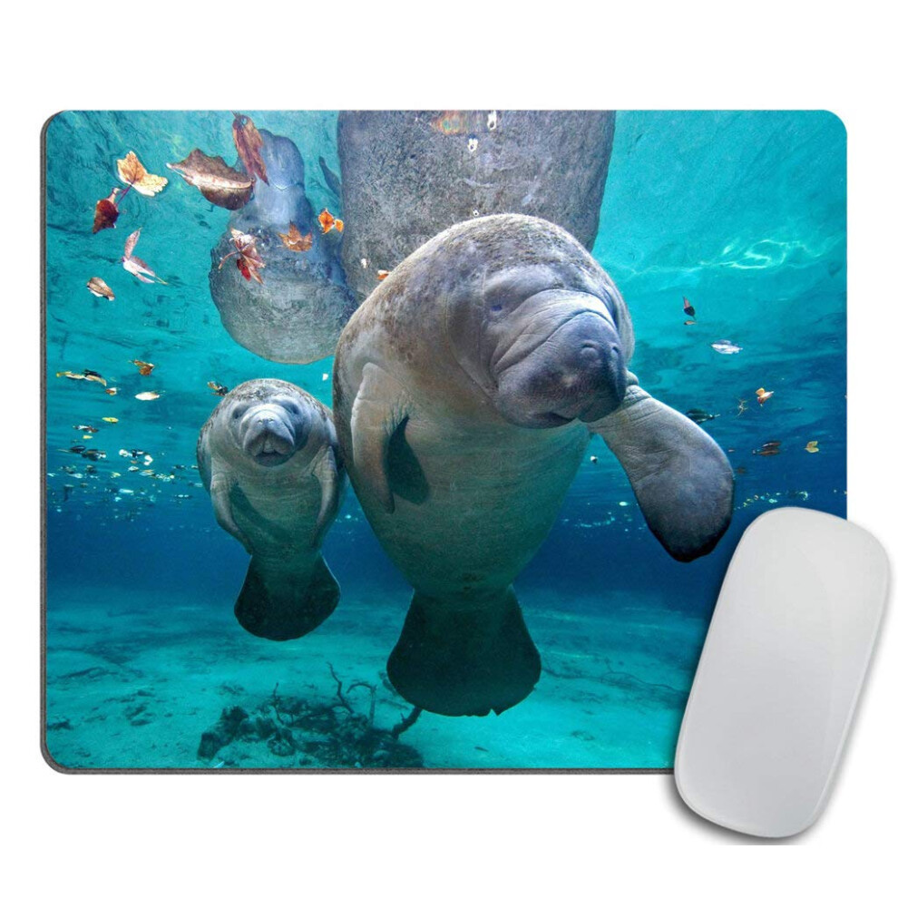 Gaming Mouse Pad Custom Florida Manatee Mother And Baby Rectangle Non-Slip Rubber Mousepad 9.5 X 7.9 Inch (240Mmx200mmx3mm) 5904475353379