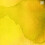 Speedball India Ink Canary 1 uncia 4