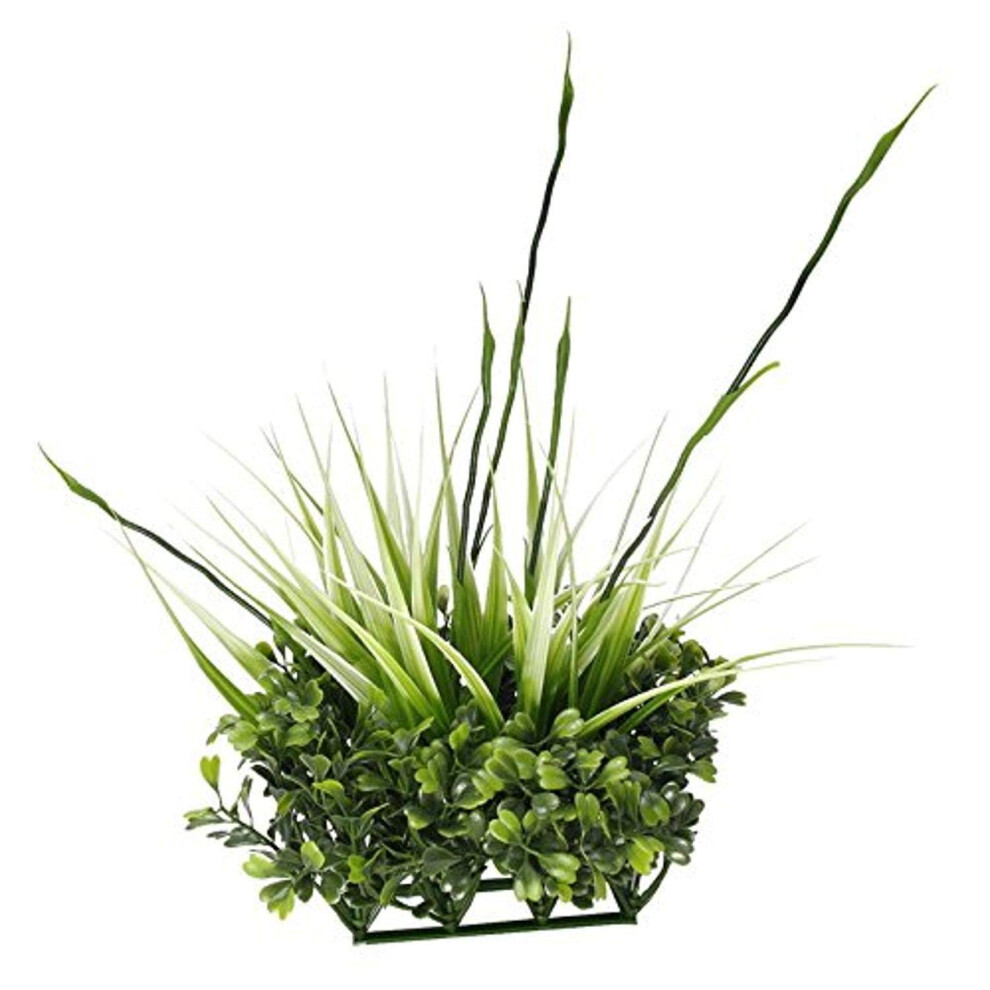 D   coration d'aquarium Fluval Chi en buis et herbes hautes