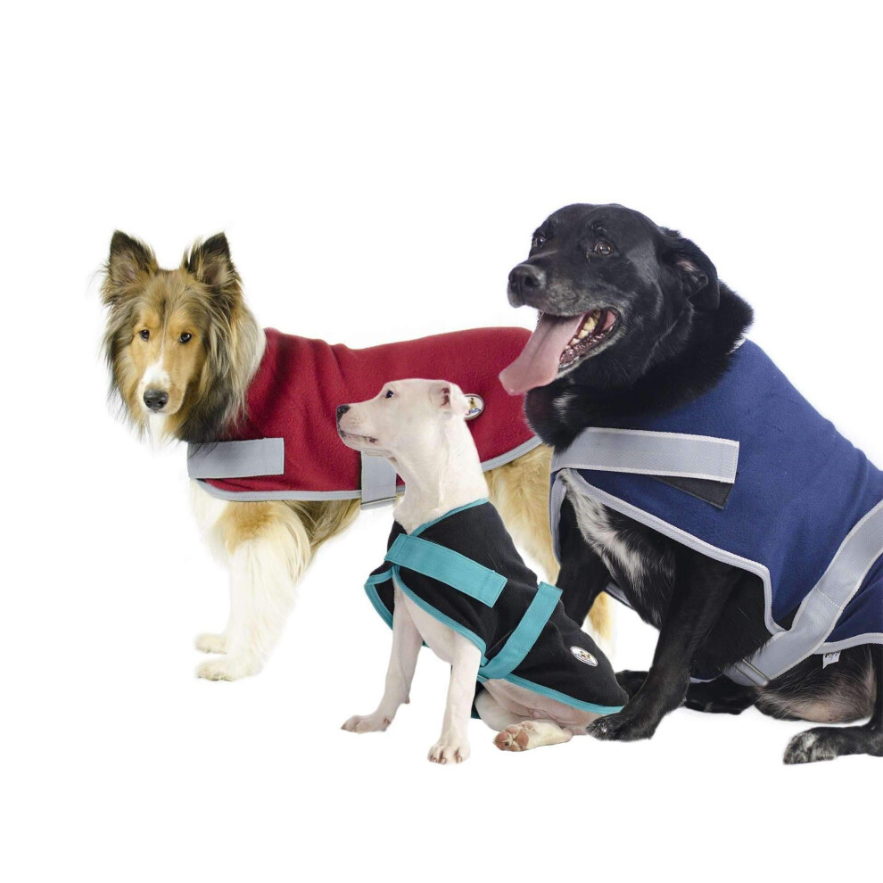 Pull polaire CuteNFuzzy pour chien, toutes saisons, pour l'int   rieur et l'ext   rieur