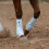 Classic Equine Flexion Front Boots blu medio 4