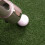 Original Bag Shag Pratica e Range Golf Ball Shagger Made in USA, Verde 2
