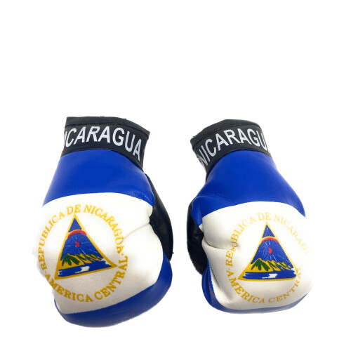 Luvas de mini boxe espelhadas do carro (Nicar   gua)